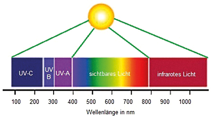 Die Grafik zeigt Wellenlängen-Bereiche der Lichtstrahlen: UV-C-Licht (90 bis 240 Nanometer), UV-B-Licht (240 bis 300 Nanometer), UV-A-Licht (300 bis 400 Nanometer), sichtbares Licht (400 bis 800 Nanometer), infrarotes Licht (800 bis 1100 Nanometer).