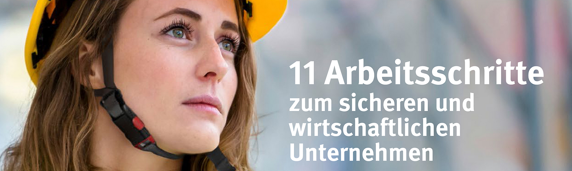 Titelbild AMS BAU Ordner 2022