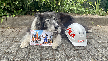 Ein liegender Hund, der eine Postkarte zwischen den Pfoten hält. Neben ihm ist ein Helm mit STRABAG-Logo.