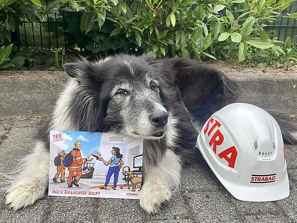 Ein liegender Hund, der eine Postkarte zwischen den Pfoten hält. Neben ihm ist ein Helm mit STRABAG-Logo.