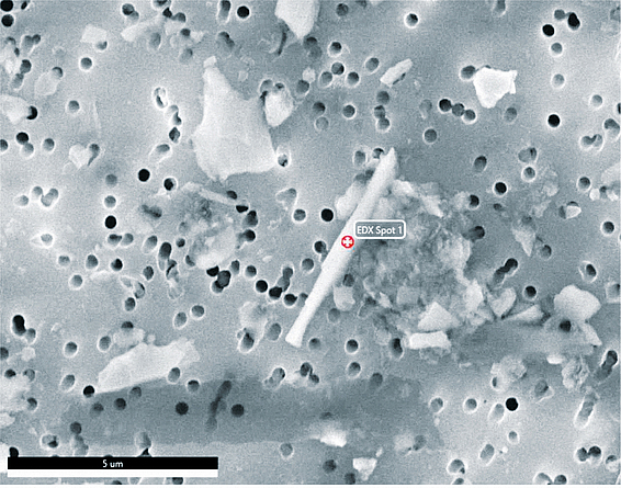 Mikroskop-Aufnahme einer Amphibol-Asbest-Faser