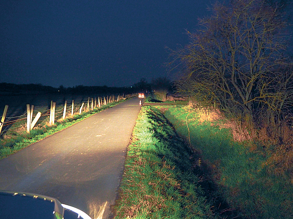 Scheinwerferlicht auf eine Person, die sich auf einer kleinen Landstraße befindet. 
