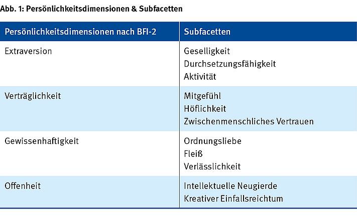 Persönlichkeitsdimensionen & Subfacetten