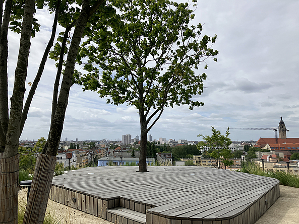 Baum auf einer Dachfläche, um den eine Holzbühne gebaut wurde. Im Hintergrund sind die Dächer anderer Häuser zu sehen. 