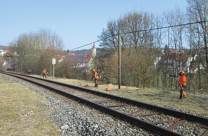 Mehrere Personen in Warnkleidung führen Vegetationsarbeiten entlang einer eingleisigen Bahnstrecke im Freien durch. Im Hintergrund sind Bäume und ein Ort zu sehen.