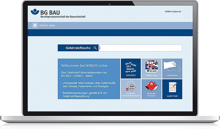 Screenshot der Website  www.wingisonline.de