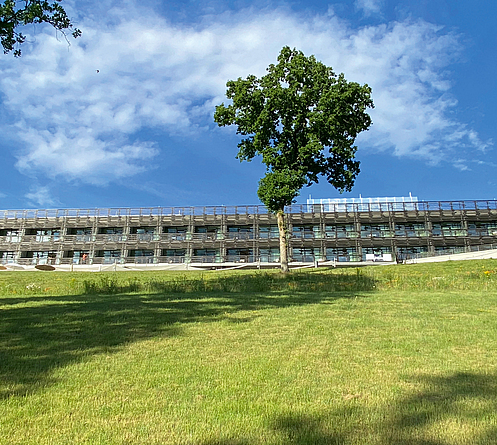 Blick von unten von der Wiese auf den Hotelneubau oben am Hang. Vor dem Hotel steht ein großer Baum.