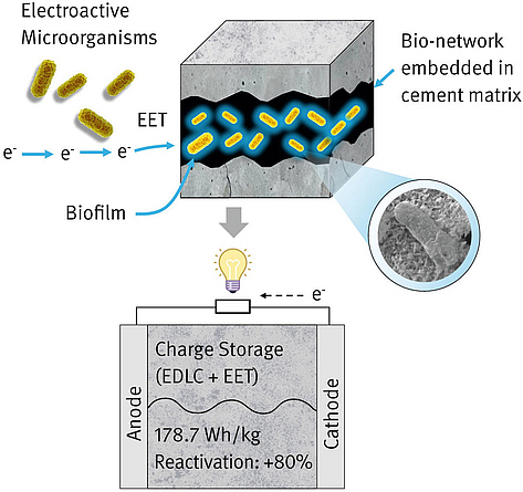 Schematische Grafik eines mikrobiellen Zement-Superkondensators mit elektroaktiven Mikroorganismen, Biofilm und Ladungsspeicherung.