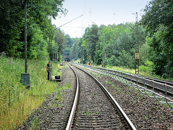 Neben den Gleisen, die durch einen Wald führen, steht ein Bauarbeiter.