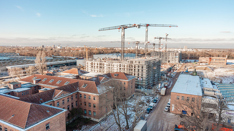 Bauprojekt Gartenfeld Bauprojekt Insel Gartenfeld.